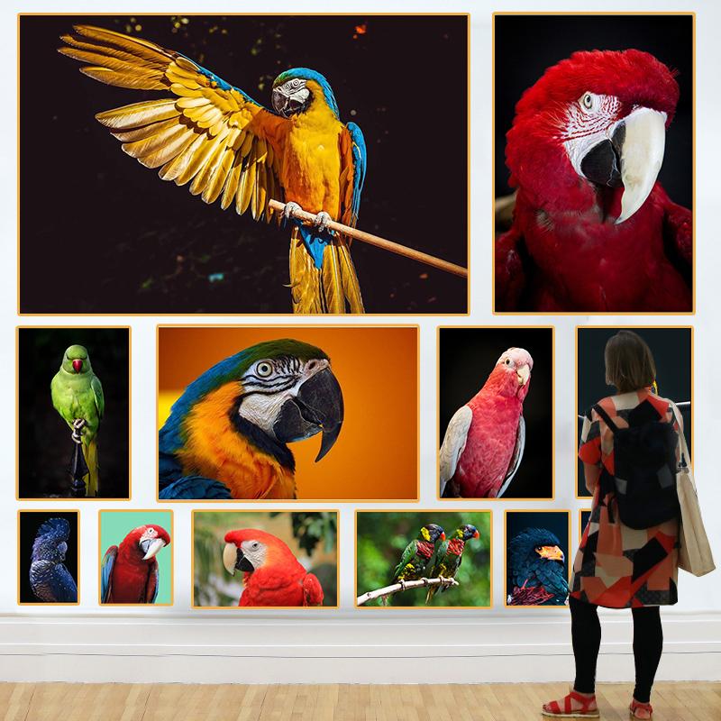 Colorful Parrot Poster Beautiful Bird Wall Art Animals Pictures Canvas Print Living Room Home Aesthetics Decor Painting Cuadros