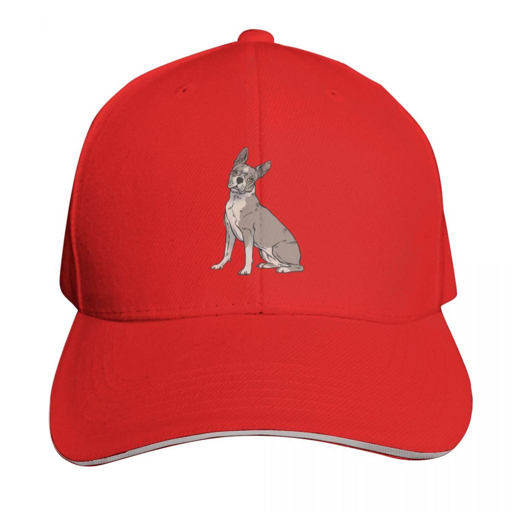 Lilac Boston terrier sitting Baseball Cap derby hat Funny hats F Snap Back Hat Unisex Hats Womens