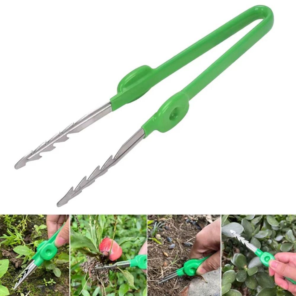 Stainless Steel Succulent Transplant Clip Multifunctional Plant Care Clip Daily Gardening