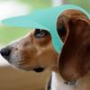 Hund Strandhut Sonnenschutz Hund Baseballkappe Verstellbar Atmungsaktiv Kopfbedeckung Mit Ohrlöchern Für Welpen Katze Haustierbedarf Kopfschmuck