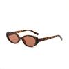 2025 new sunglasses Elliptical cat eye black sunglasses for women retro and trendy European and American bloggers,