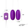 Climax Gift Set: Vibrator, Heating Rod, Lubricant, Protective Powder, Disinfectant, Storage Bag, Condoms, Ben Wa Balls