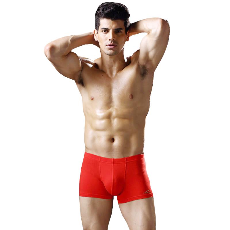 

Мужские модальные боксеры-брифы Jianjiang, 2 шт. L