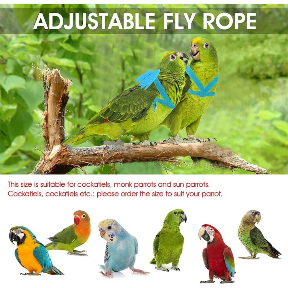 Bird Leash, Elyssnova 2024 New Bird Harness, Retractable Parrot Leash Used For Bird Flight Training 0 20 Feet Freely Adjustable Suitable For Various Birds