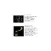 Daiwa 23BG SW 4000D-CXH Spinning Reel Fishing Gear Lightweight Durable Design