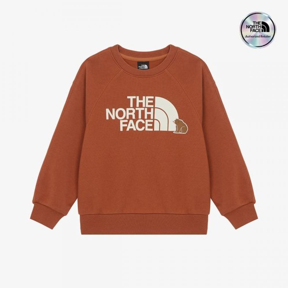 The North Face Kids Animate Sweatshirt Dark Orange Nm5mr55t DARK ORANGE/100