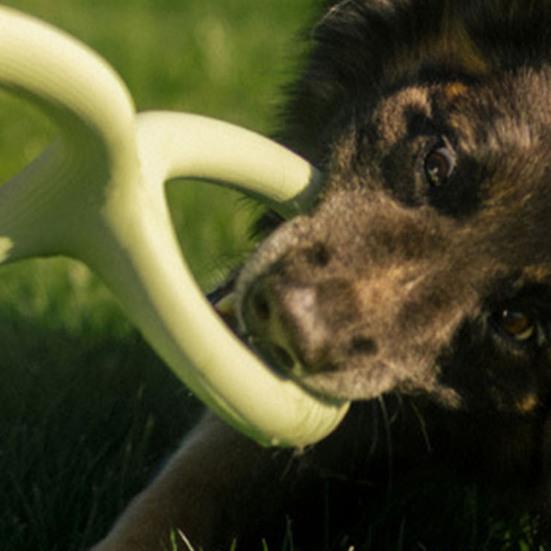 Dog Tug Toy Interactive Dog Tug-of-War Toy Heavy Duty Chew Toy Teeth Cleaning Toy for Aggressive Chewers Small to Large Dogs Indoor Outdoor Play