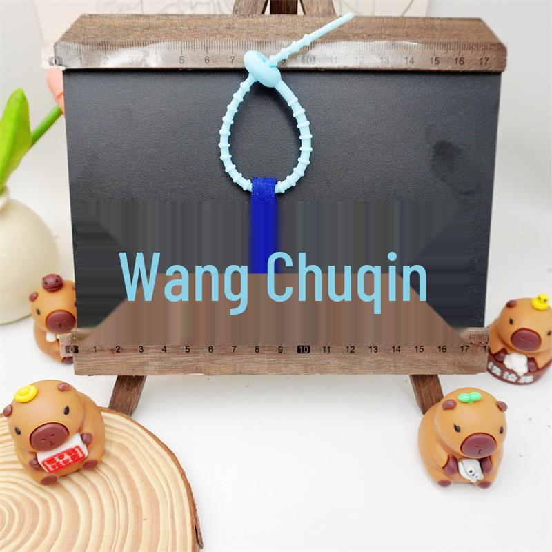 Sun Yingsha & Wang Chuqin Pendant Luggage Tag Student Gift Bag