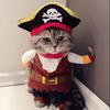Costume Pirate pour Chat Déguisement avec cape