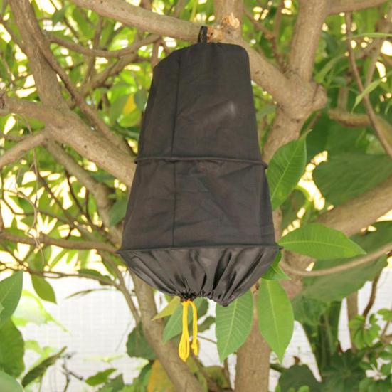 3-Layer Beekeeper Bee Catch Cage Swarm Trap Wild Recruit Garden Beekeeping Tool