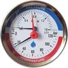 Termomanometr 4 Bary 120°C Wejście Tylne 1/2”