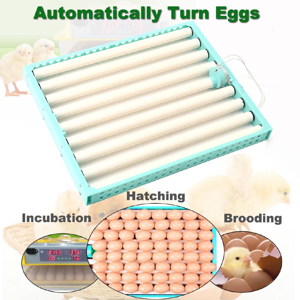 360 Degree Chicken Eggs Turner Automatic Incubator Farm Incubation Tray Tools Duck Quail Bird Poultry Eggs Supplies Blue