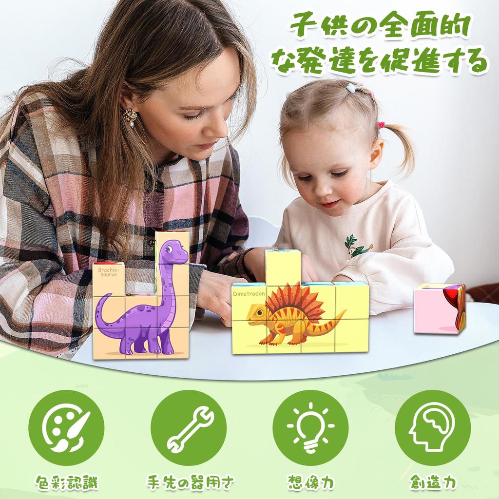 AOMACO Magnetic Block 3D Puzzle, 6-Theme, 6-Side Puzzle, Nine Palace Pattern, Magnetic Blocks, 9-Piece Set, Educational Toy, 3D Puzzle, Magnetic