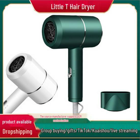 High-Power Salon & Home Hair Dryer with Concentrator & Aromatherapy Feature - Perfect Gift for Stylists