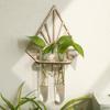 Vase Hydroponic Plant Holder Home Ornaments Flower Pot Wall Hanging Planter Shelf  Wall Mount