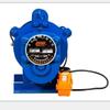 OIMG Multifunctional Electric Hoist Winch