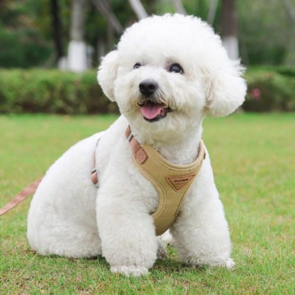 2 Artikel in 1 Set, ultraleichtes Geschirr-Leinen-Set, beige