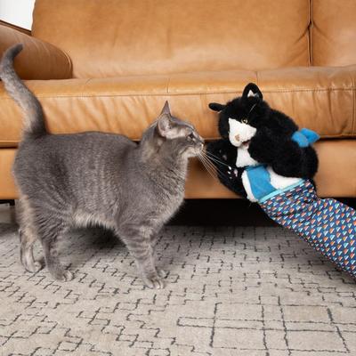 1Pz/2Pz Burattino Gatto Giocattolo Lottatore Animali di Peluche Interattivi Burattino a Mano con Imbottitura Resistente per Gioco Sicuro Giocattolo Burattino Gatto Lottatore per Combattere la Noia