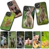 for Motorola Moto Edge 70 60 Fusion 40 NEO 20 Pro G Stylus G56 G96 G71 G73 G52 G41 G42 G50 G51 Phone Case Rabbit Wild Boar Pig