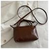 2025 Stylish Dumpling Crossbody & Shoulder Bag - Trendy Niche Design Ladies' Bucket Bag