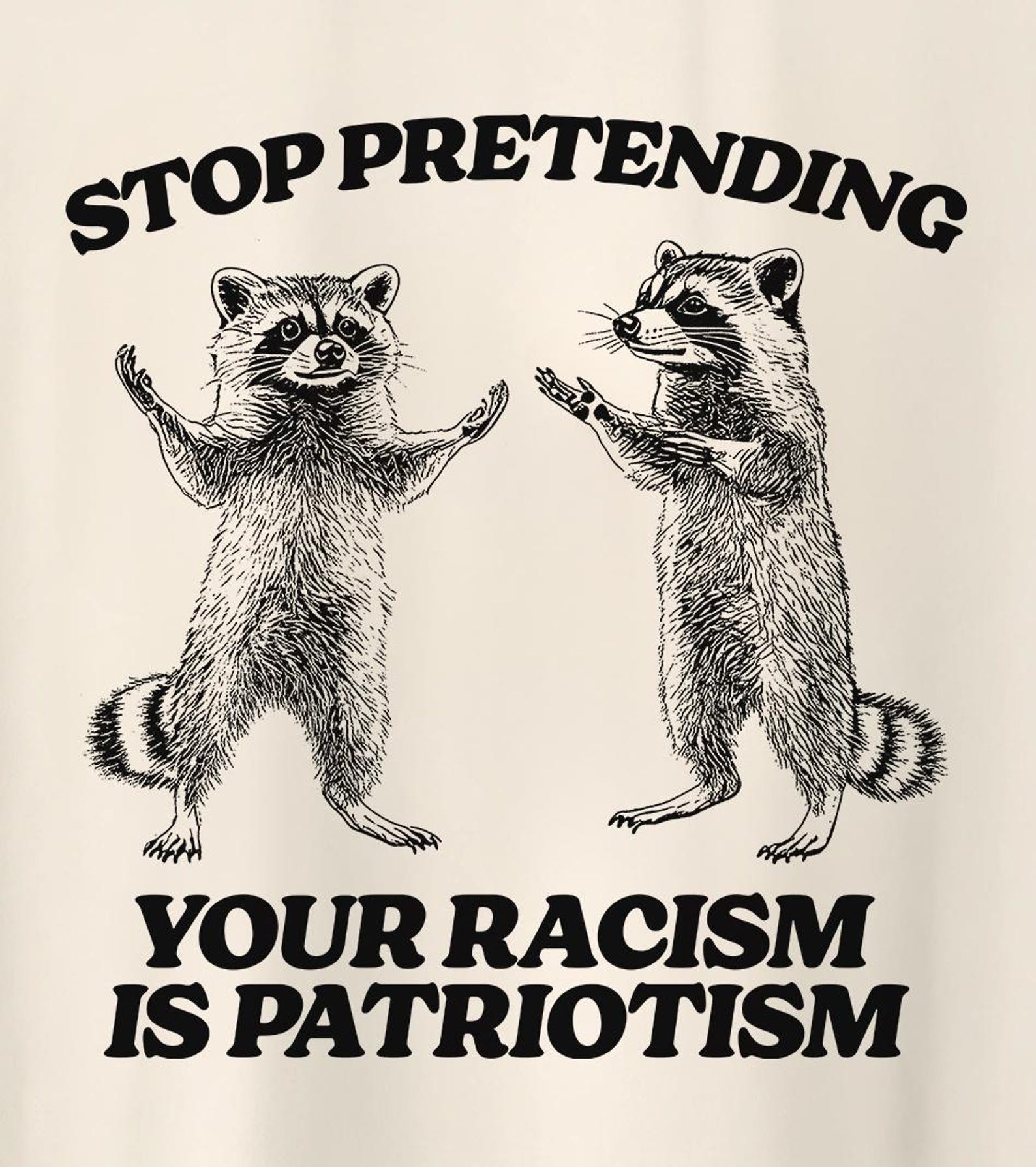 Stop pretending your racism is patriotism | anti racist | feral raccoon meme shirt | leftist | subversive clothing | social democrat T-Shirt S