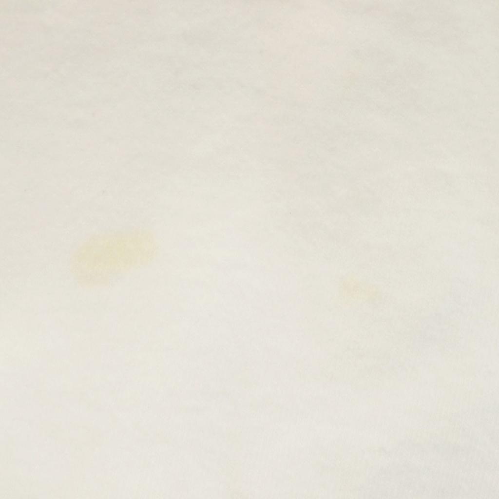 FRUIT OF THE LOOM 90s Made in Canada Old Floral print Short sleeve T-shirt Men's Used