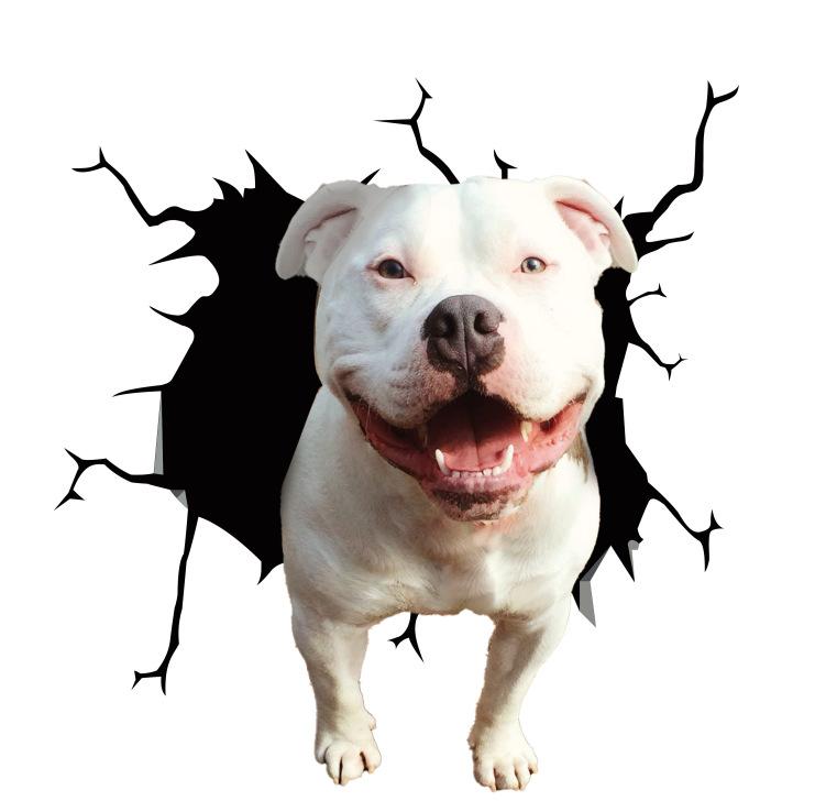 Animal Car Stickers Waterproof PVC Auto Scratch Occlude 3D Simulation Electrostatic Decal Car Window Home Decoration