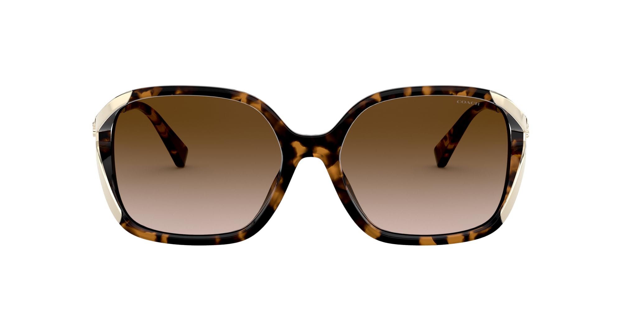 

Sunglasses 0HC8280U 512013 DARK GRADIENT LENS Japan 57 [Coach] TORTOISE/BROWN (FREE size)