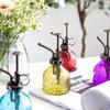 Retro Embossed Glass Spray Bottle – Small Pressure Watering Can for Garden & Home Flowers