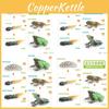 Realistic Frog Growth Cycle Model Educational Toy For Early Learning In Kids
