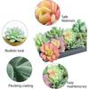 HappyHapi 12 Pcs Artificial Succulents Mini Fake Plants Unpotted Faux Succulent for Craft, Small Plastic Succulents Assortment in Flocked Green