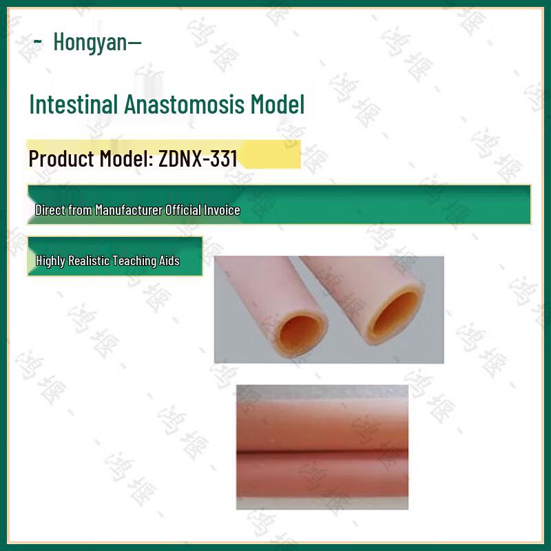 Учебная модель кишечного анастомоза