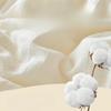Brangdy Thickened Soybean Fiber Duvet