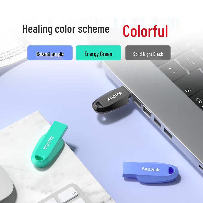 SanDisk High-Speed USB Flash Drive