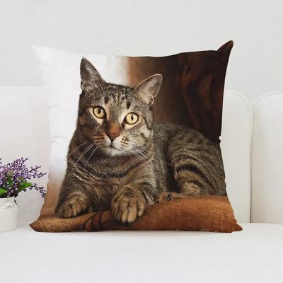Cushion Cover Cushions Covers Cute Cat Decorative Pillow Cover for Living Room Cushions Bed Pillowcases Pillowcase _