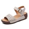 Fashion Women's Platform Summer Sandals Casual Walking Light Fashion Comfortable Wedge Heel Outdoor Beach Sandals Mother Shoes