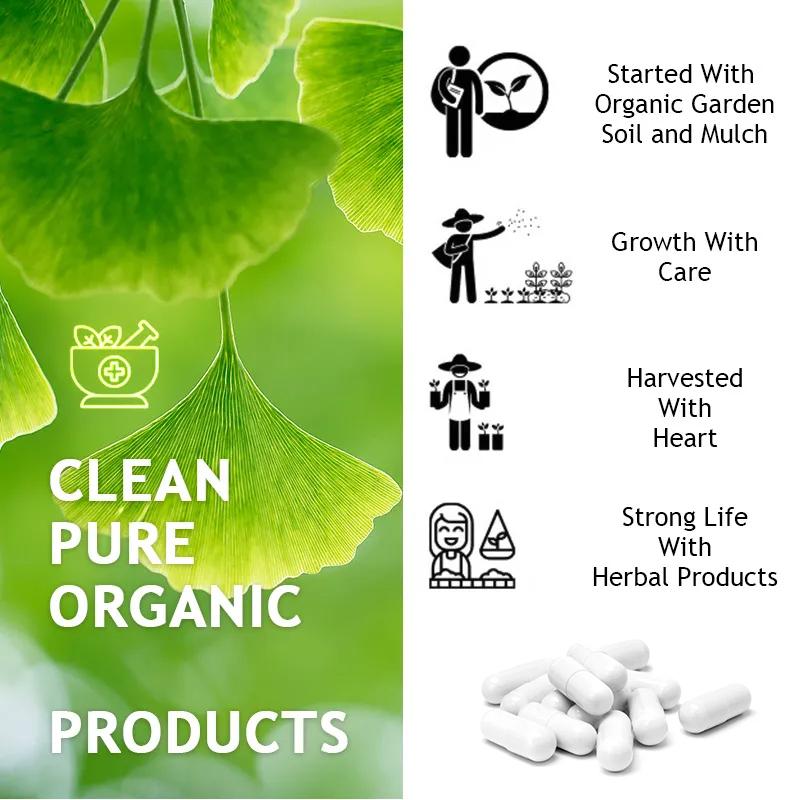 Vitamin B6, Centella Asiatica, Folic Acid, Herbal Supplements
