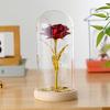 Glass Cover Rose Gold Foil Flower Ribbon Led Light Gold Immortal Flower Valentine's Day Christmas Ornament