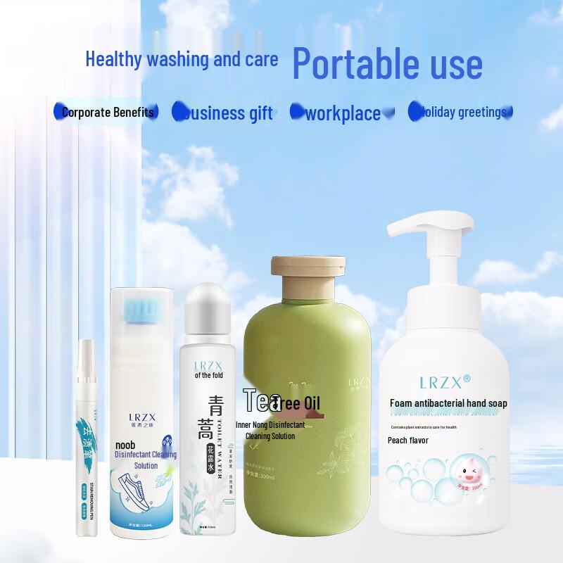 Lianrou Zhixin 5-Piece Antibacterial Summer Cleaning Kit