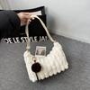 Plush Furry Tote: Trendy Autumn/Winter Versatile Single Shoulder Handbag for Women