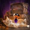 Spooky Spider Pumpkin Skull Toys Halloween Cat Wand Toy, Interactive Toy with Feathers And Bell, Designs, Ribbon for Indoor Cats Lightweight