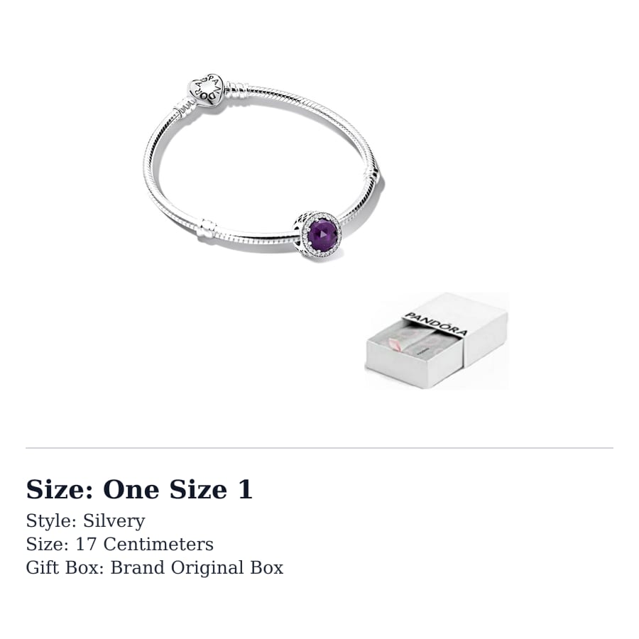 Pandora 925 Sterling Silver Bracelets Women's ZT10943