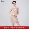 Latin Dance Dress With Fringe Skirt V-Neck Party Performance Costume Women