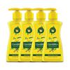 Tulsi & Lime Handwash 200ml Pack Of 4 | Gentle Ayurvedic Cleanser For Fresh, Healthy, Germ-Free Hands