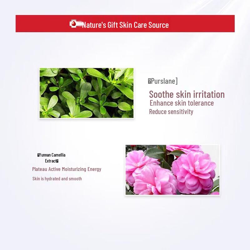 Winona Hydra-Soft Invisible Face Mask, 6-Pack
