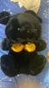 [USED] Teddy Bear