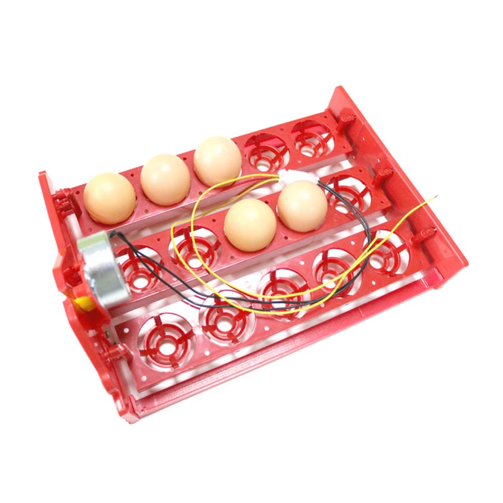 15 Eggs Automatically Incubator Turn Eggs Tray 220V/110V/12V Motor Chicken Birds Eggs Hatching Equipment Poultry Incubator
