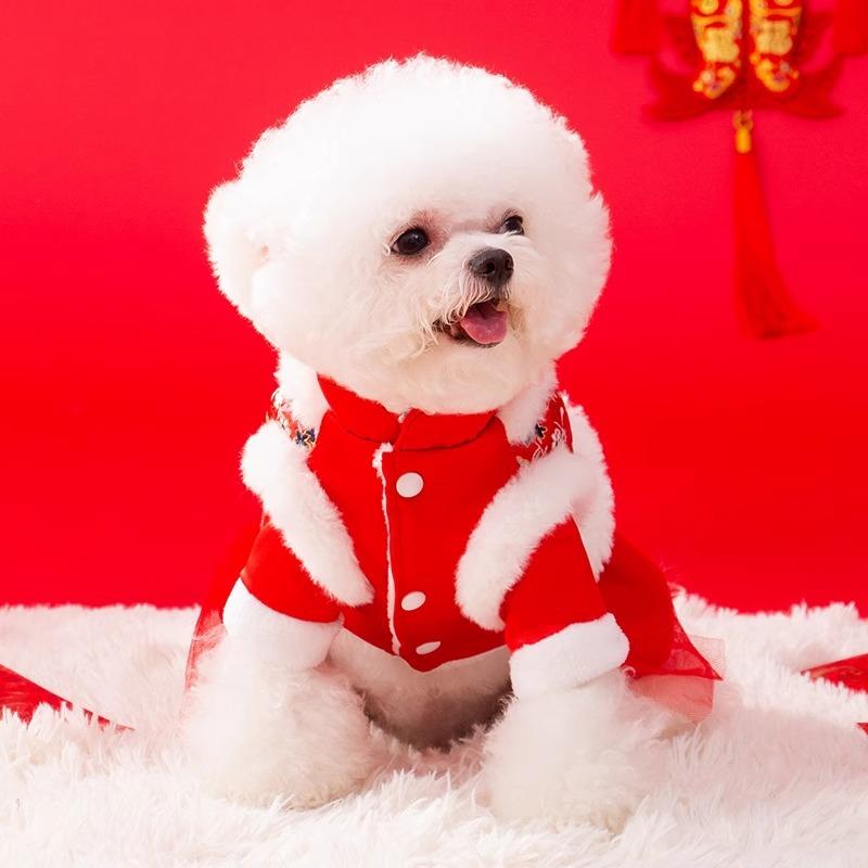 New Year's clothes velvet warm two-legged vest teddy bear small dog Tang clothing New Year's greeting pet skirt