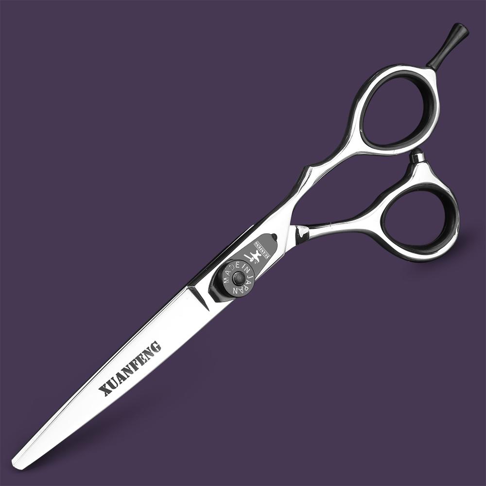 Spring Clip Screw Double Color Hair Scissors 6 Inch 9cr18 Steel Barber Cutting Scissors and Thinning Scissors