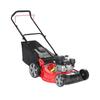 Mufan Zongshen XP200 Self-Propelled Gasoline Lawn Mower CN plug (adapter included)